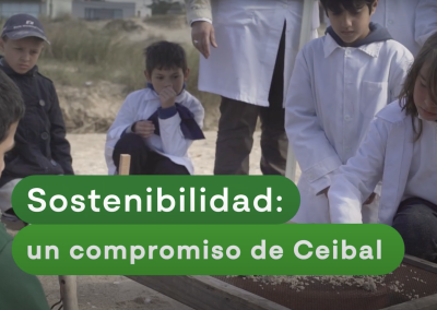 Creatividad, guión y producción para audiovisual “Sostenibilidad: un compromiso de Ceibal” | Ceibal